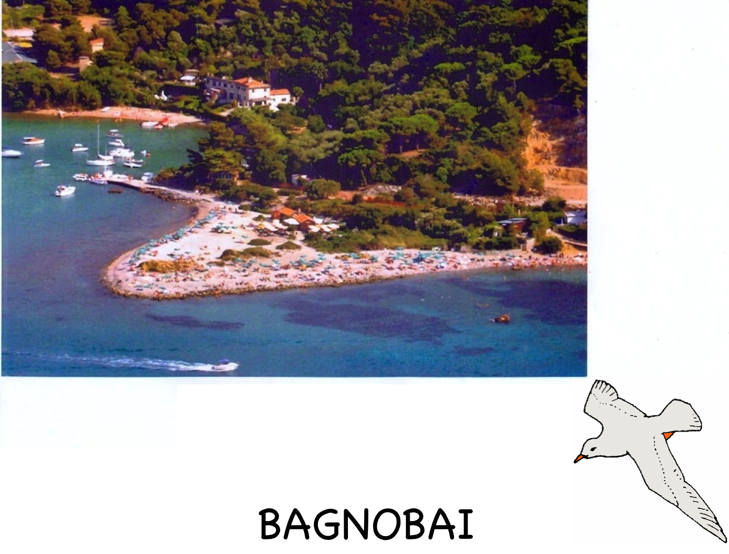 team building caccia al tesoro all'isola palmaria